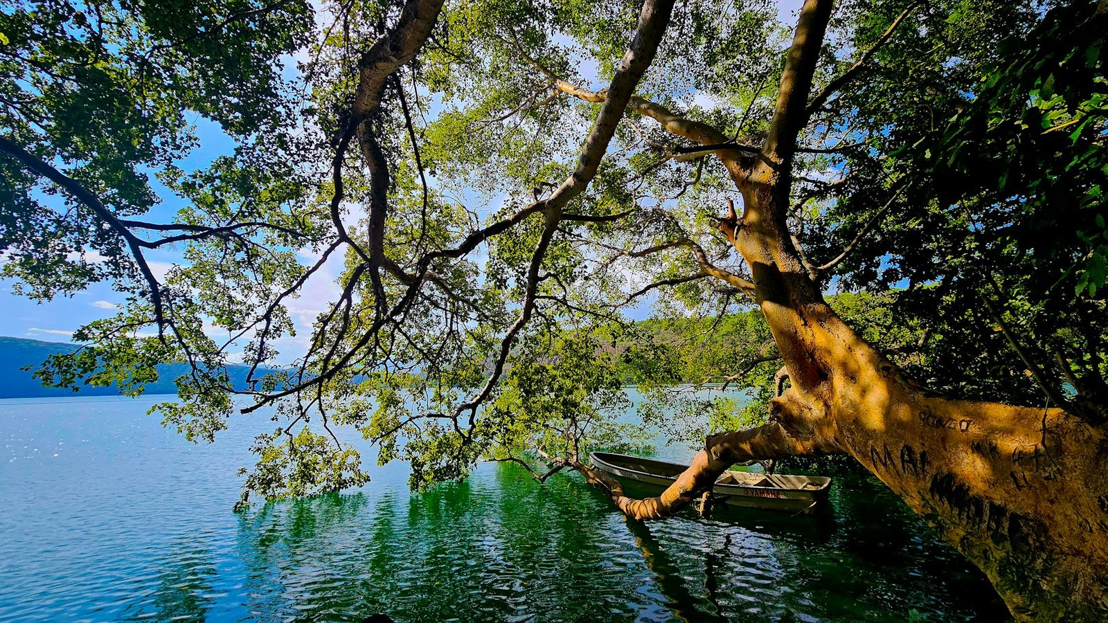 Calm crater lake framed by trees
