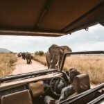 Family safari game drive with elephants