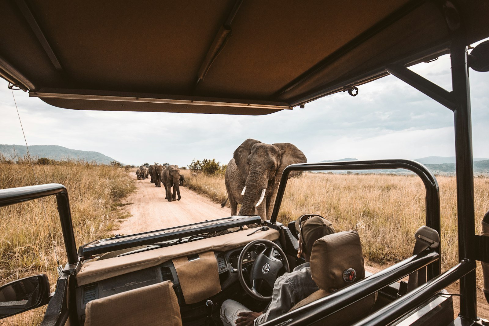 Family safari game drive with elephants