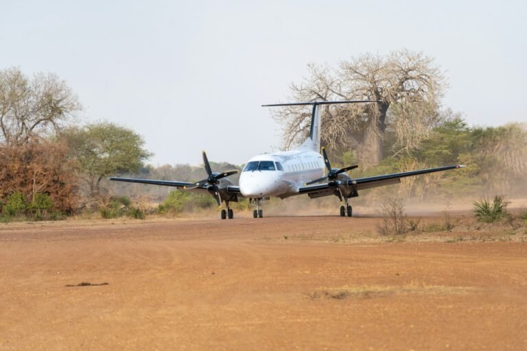 Light aircraft landing on a bush airstrip