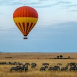 Hot air balloon over zebras in the Maasai Mara, Kenya
