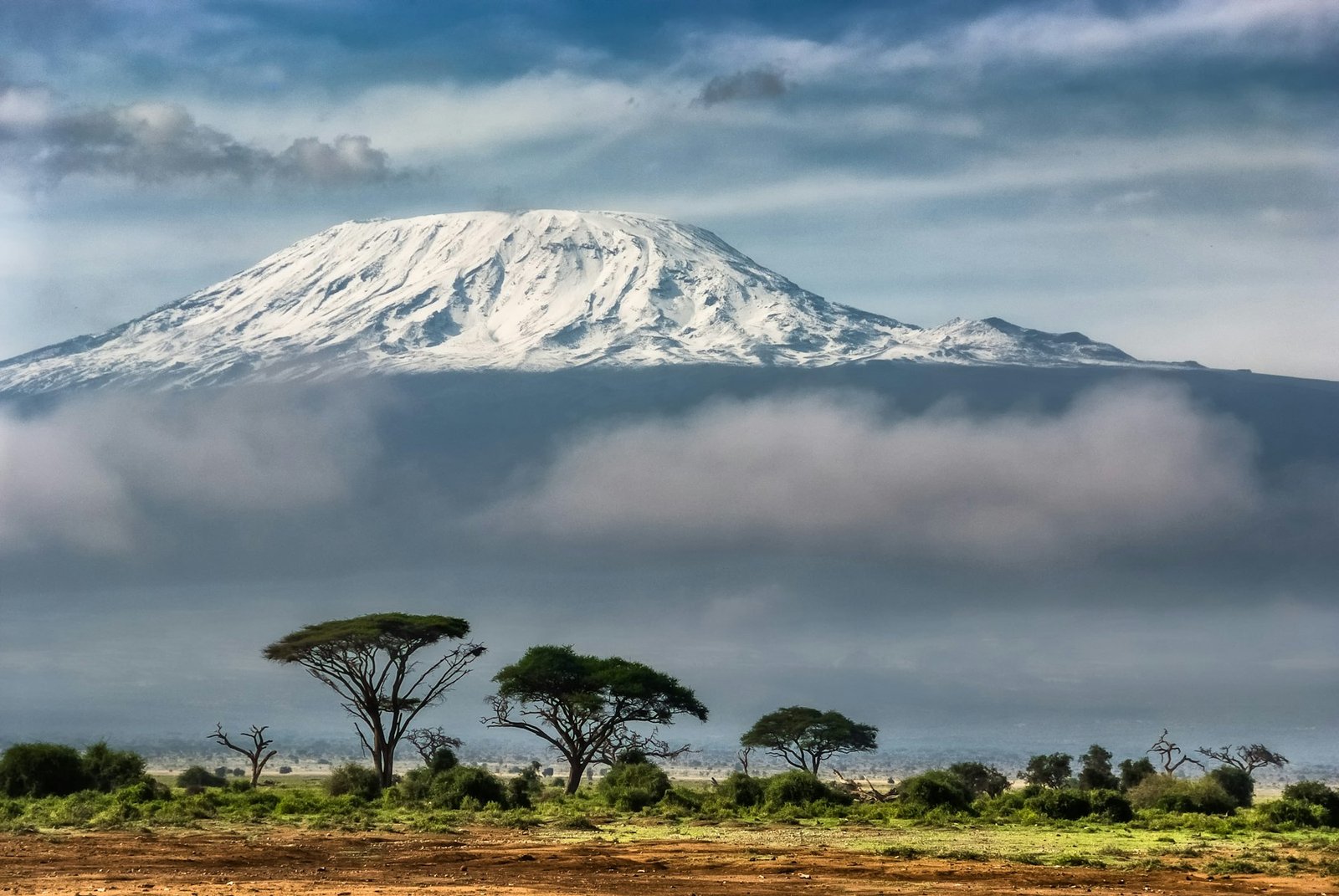 Hikers on the slopes of Kilimanjaro