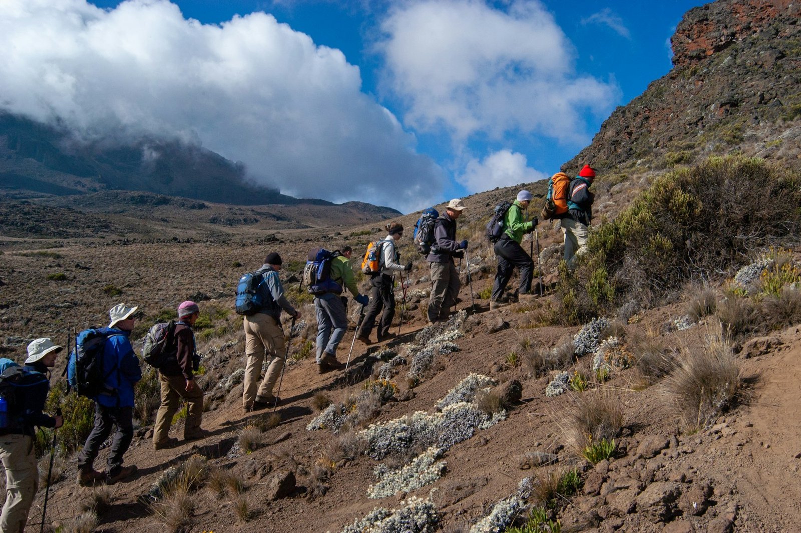 Trail on Mount Kilimanjaro