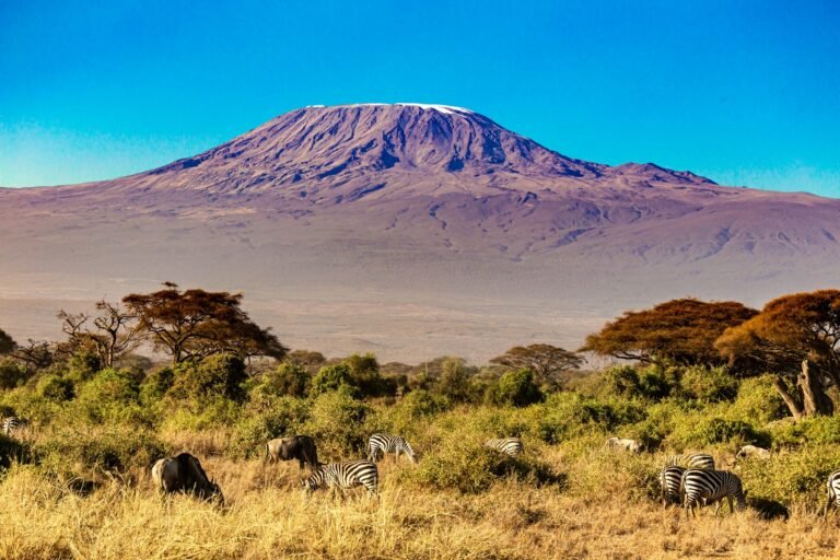 Mount Kilimanjaro above the plains