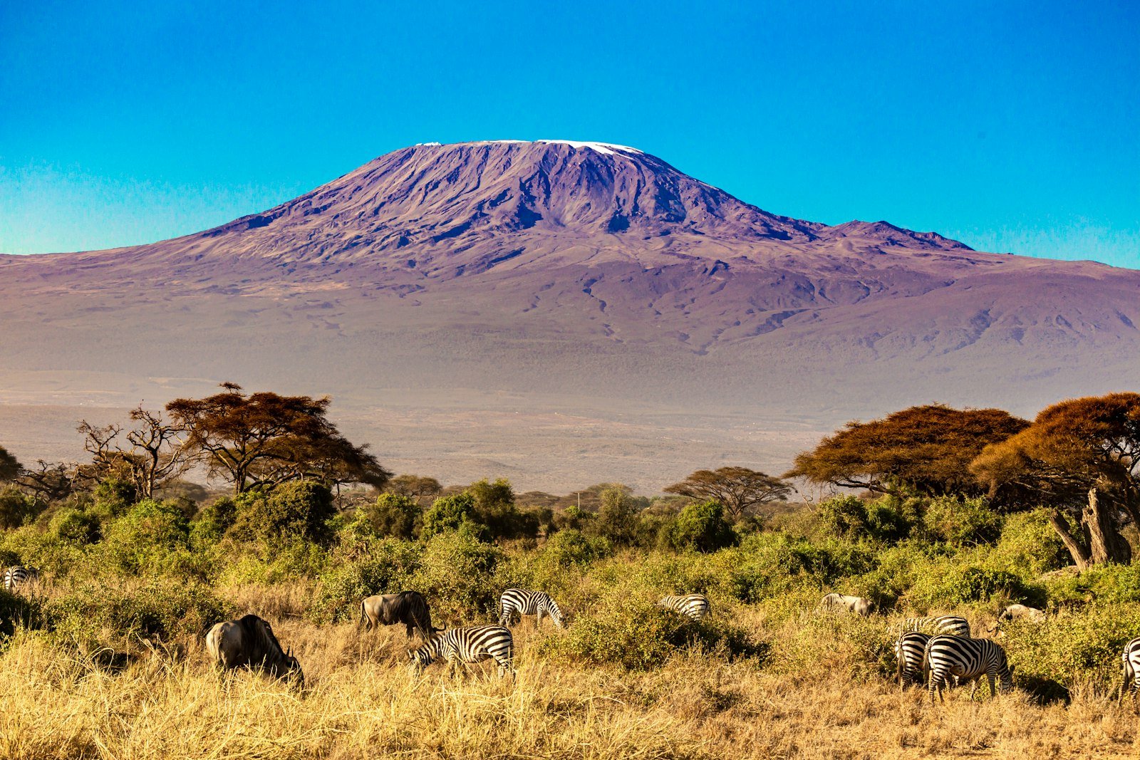Mount Kilimanjaro above the plains