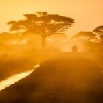 Luxury safari camp