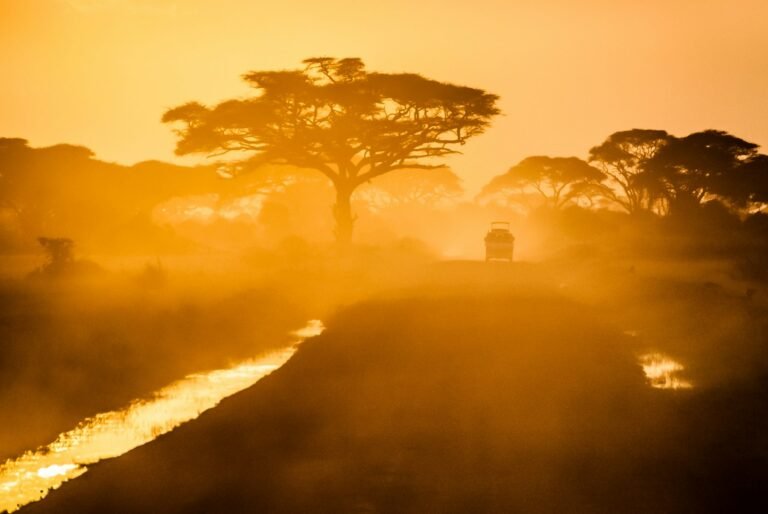Luxury safari camp