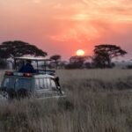 Safari vehicle at sunset on the Serengeti