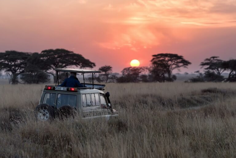 Safari vehicle at sunset on the Serengeti