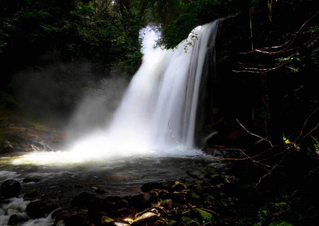 Waterfall in a tropical forest