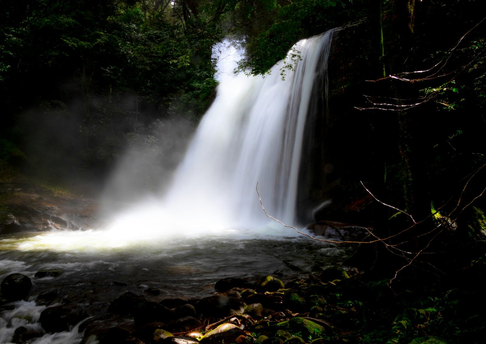 Waterfall in a tropical forest